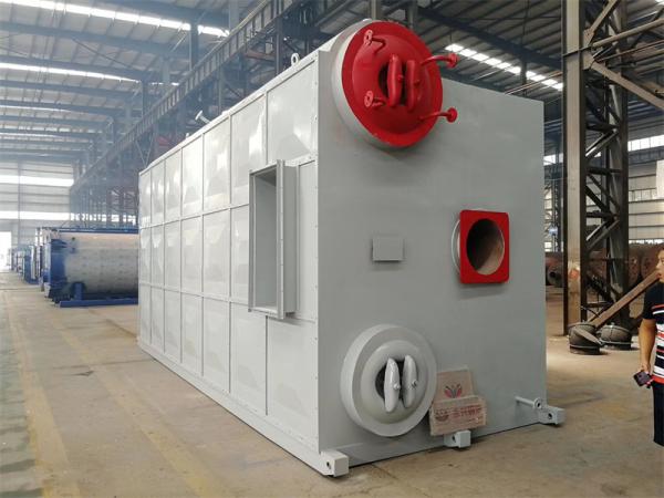 SZS低氮燃?xì)庹羝仩t